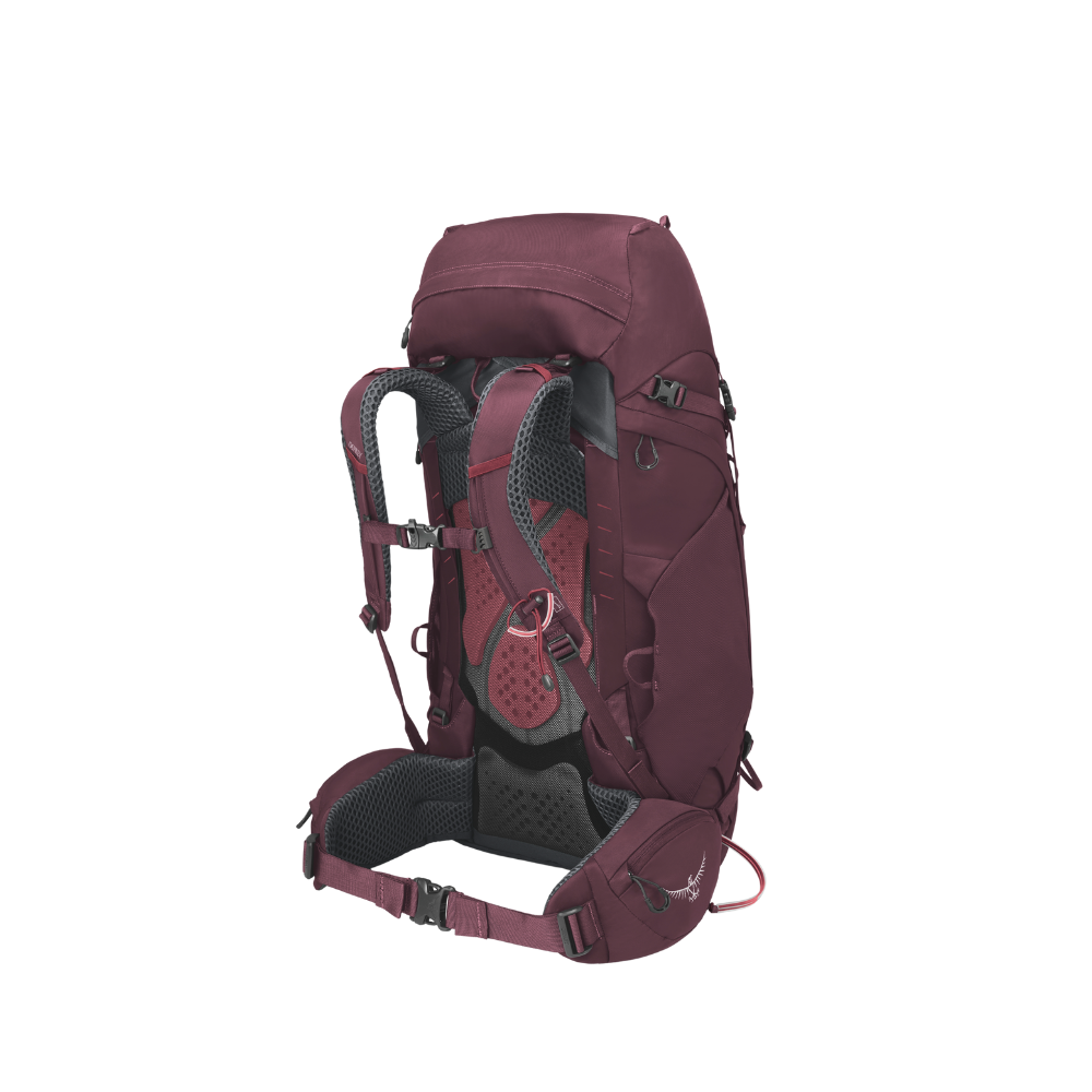 Back view of Osprey Kyte 48 pack Elderberry Purple featuring female-optimized LightWire frame and sophisticated elderberry coloring